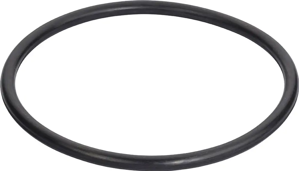 Schwarzer O-Ring, ringförmig, zentraler Ausschnitt, geeignet für Anschlüsse, möglicherweise zum Einsatz in Anwendungen von Grünbeck.